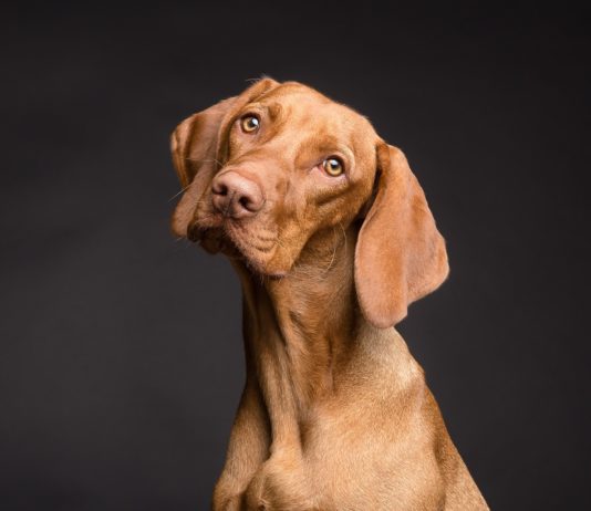 OnePlan for the unplanned