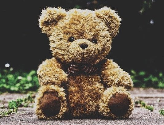 Teddy Bear Foundation